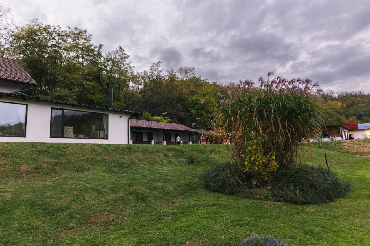 Casa Tirol Blaj Ξενοδοχείο Εξωτερικό φωτογραφία
